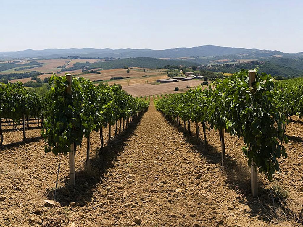 Casa rural Podere Schioppello Casale Con Privati *